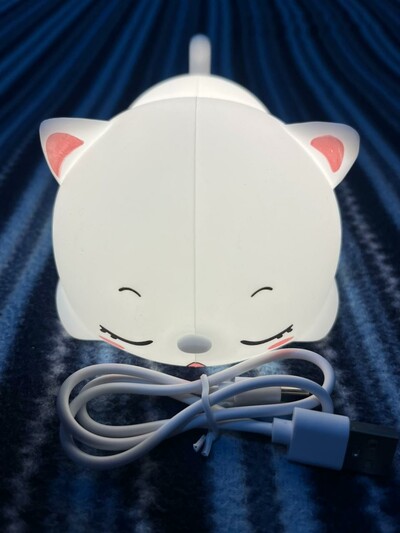 Sleeping Cat Silicone Night Light (Touch Sensitive)